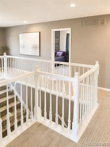 899 Tarpan Place Castle Rock, CO 80104