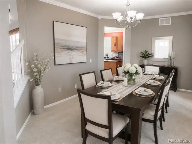 899 Tarpan Place Castle Rock, CO 80104