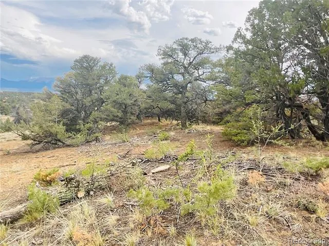 Lot 17 Phase 3 Navajo Ranch Resort Walsenburg, CO 81089