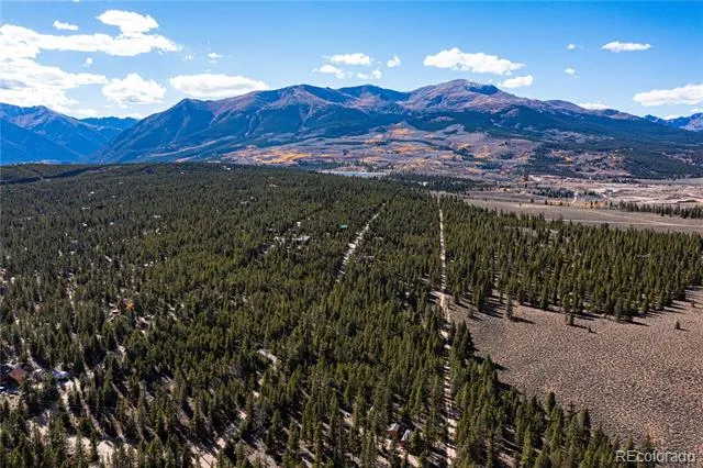 66 Ponderosa Drive Leadville, CO 80461
