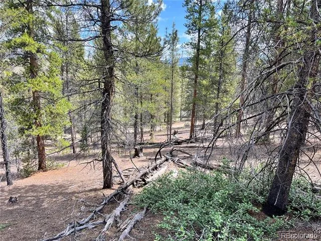 66 Ponderosa Drive Leadville, CO 80461