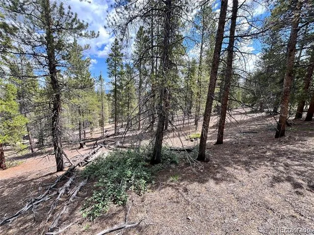 66 Ponderosa Drive Leadville, CO 80461