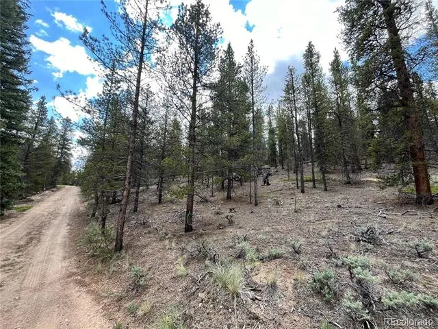 66 Ponderosa Drive Leadville, CO 80461