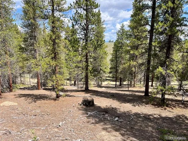66 Ponderosa Drive Leadville, CO 80461