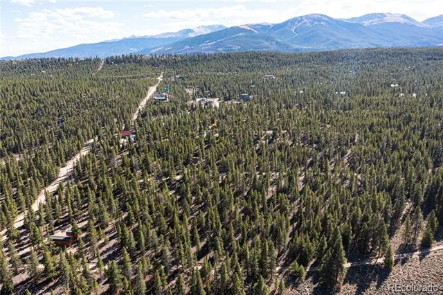 66 Ponderosa Drive Leadville, CO 80461