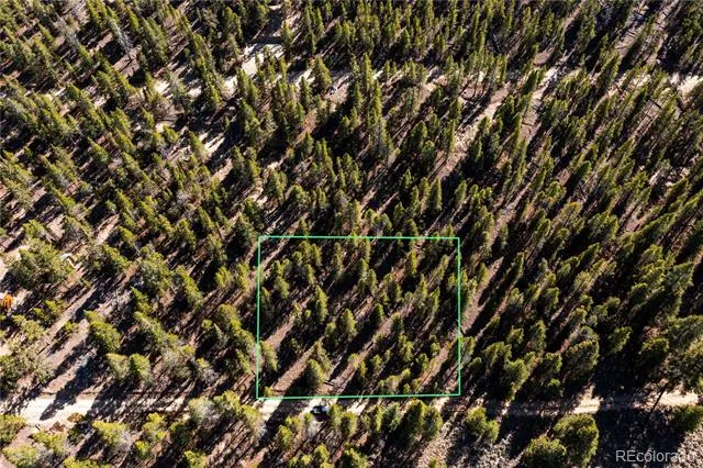 66 Ponderosa Drive Leadville, CO 80461
