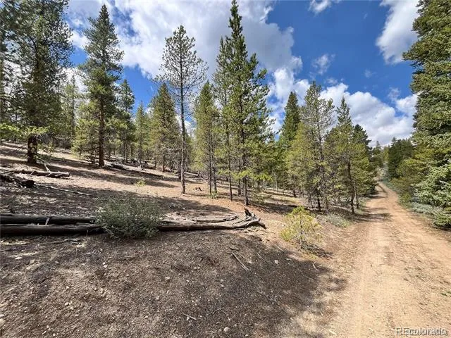 66 Ponderosa Drive Leadville, CO 80461