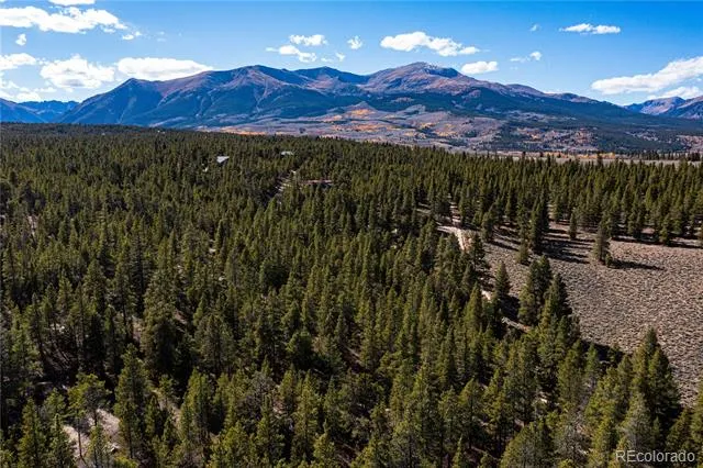 66 Ponderosa Drive Leadville, CO 80461