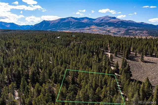 66 Ponderosa Drive Leadville, CO 80461
