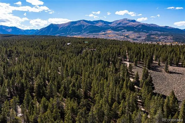66 Ponderosa Drive Leadville, CO 80461