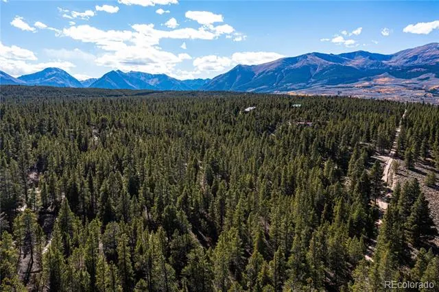66 Ponderosa Drive Leadville, CO 80461
