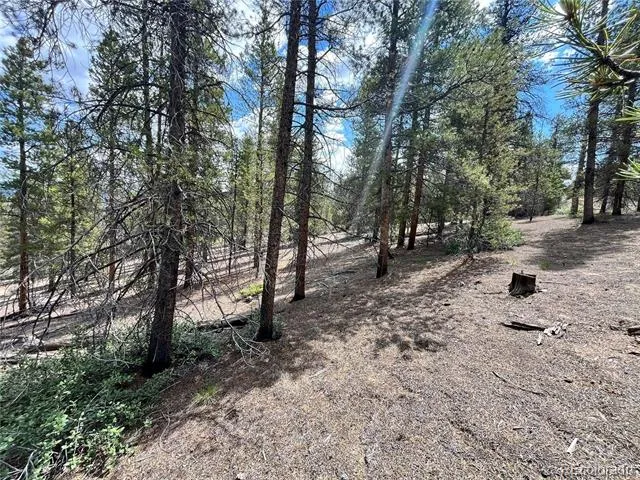 66 Ponderosa Drive Leadville, CO 80461