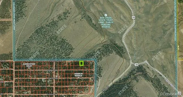66 Ponderosa Drive Leadville, CO 80461