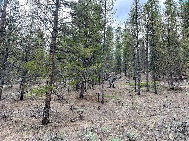 66 Ponderosa Drive Leadville, CO 80461