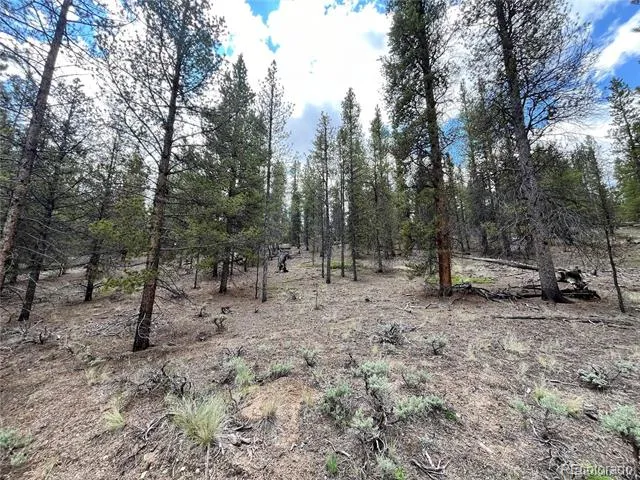 66 Ponderosa Drive Leadville, CO 80461