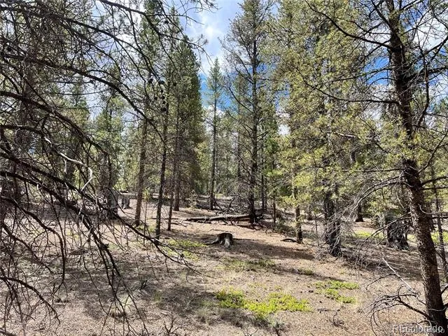 66 Ponderosa Drive Leadville, CO 80461