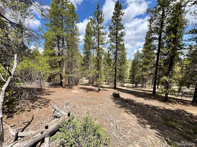 66 Ponderosa Drive Leadville, CO 80461