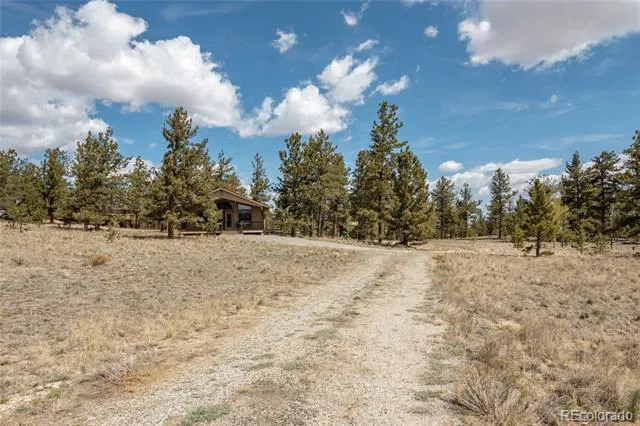 75 Whip Way Hartsel, CO 80449