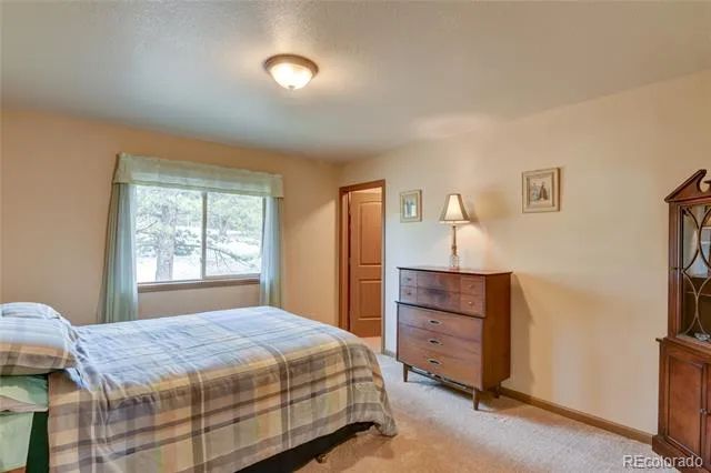 75 Whip Way Hartsel, CO 80449