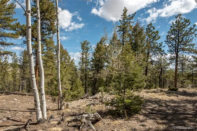 75 Whip Way Hartsel, CO 80449