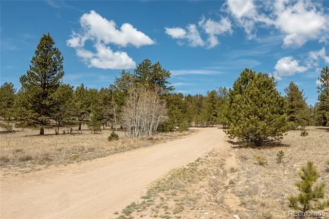 75 Whip Way Hartsel, CO 80449