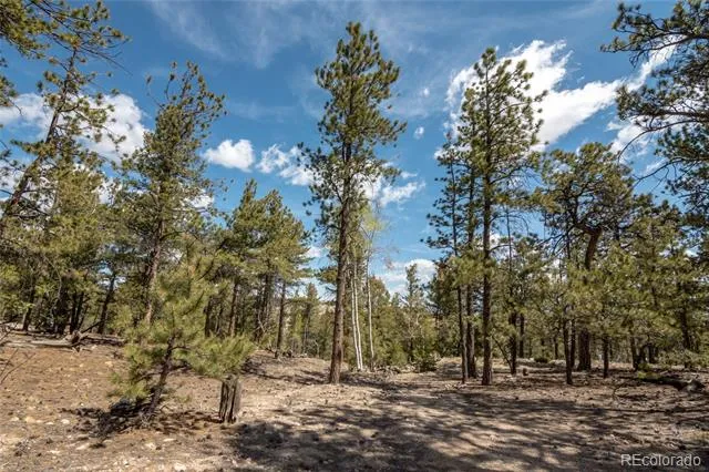 75 Whip Way Hartsel, CO 80449