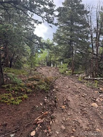 001 Church Placer Road Central City, CO 80427