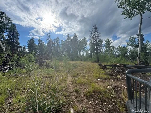 001 Church Placer Road Central City, CO 80427