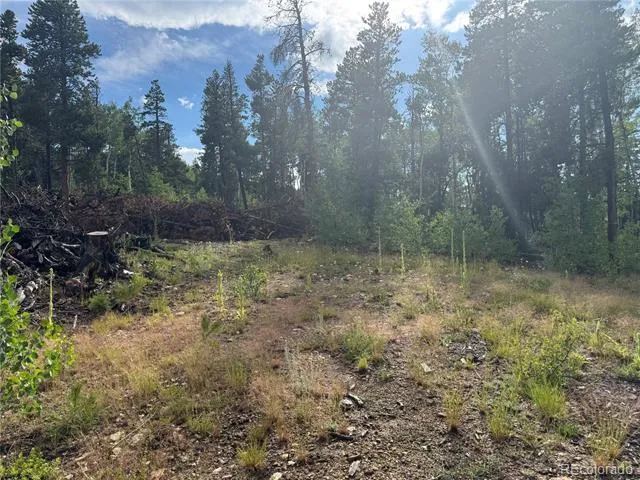 001 Church Placer Road Central City, CO 80427