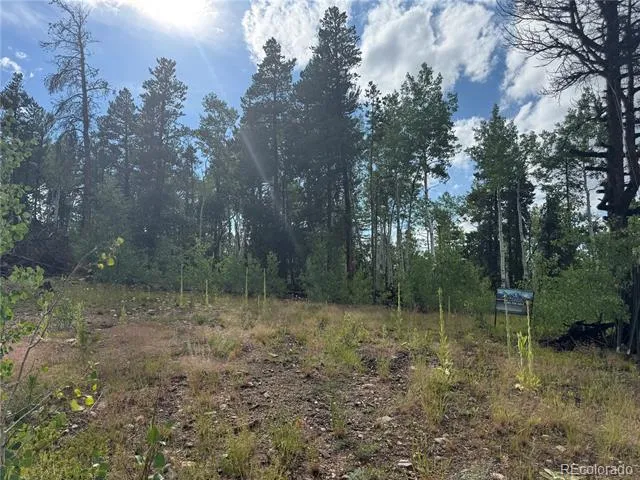 001 Church Placer Road Central City, CO 80427