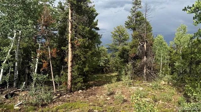 001 Church Placer Road Central City, CO 80427