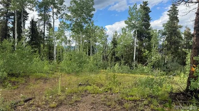 001 Church Placer Road Central City, CO 80427