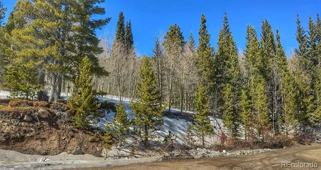 39 Glory Hole Road Idaho Springs, CO 80452