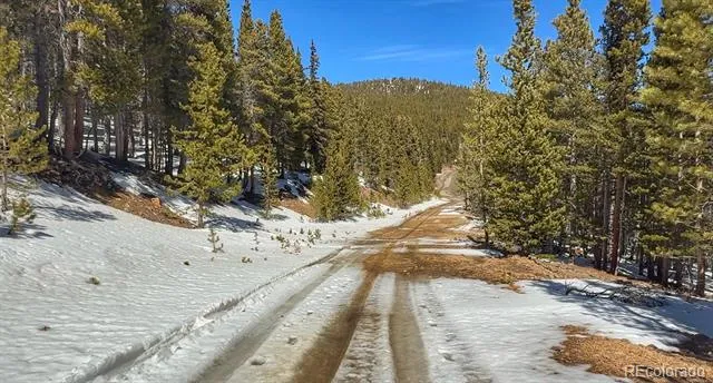 39 Glory Hole Road Idaho Springs, CO 80452
