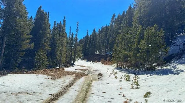 39 Glory Hole Road Idaho Springs, CO 80452