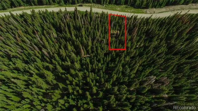 321 CR 805 Breckenridge, CO 80424
