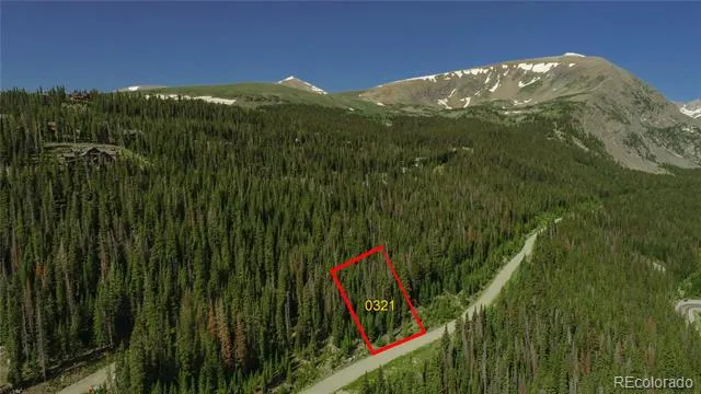 321 CR 805 Breckenridge, CO 80424