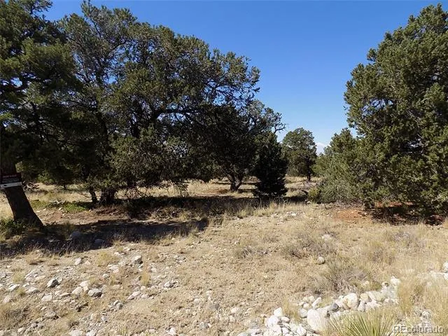 Mill Run Road Mosca, CO 81146