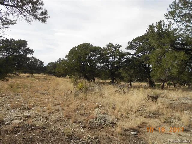 Mill Run Road Mosca, CO 81146