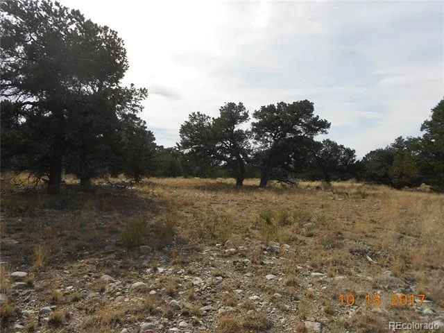 Mill Run Road Mosca, CO 81146