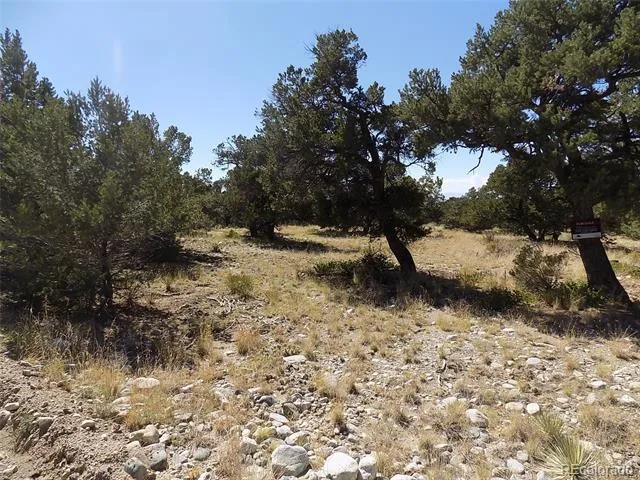 Mill Run Road Mosca, CO 81146