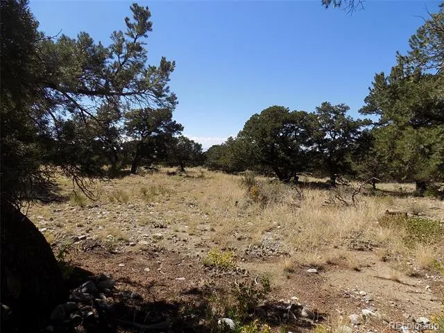 Mill Run Road Mosca, CO 81146