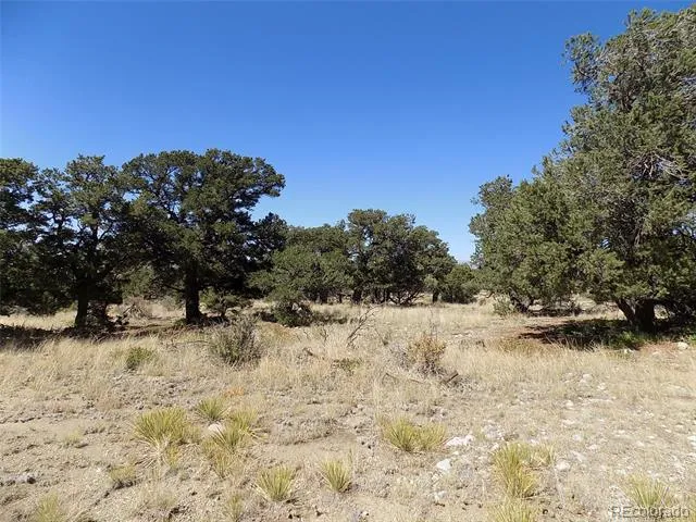 Mill Run Road Mosca, CO 81146