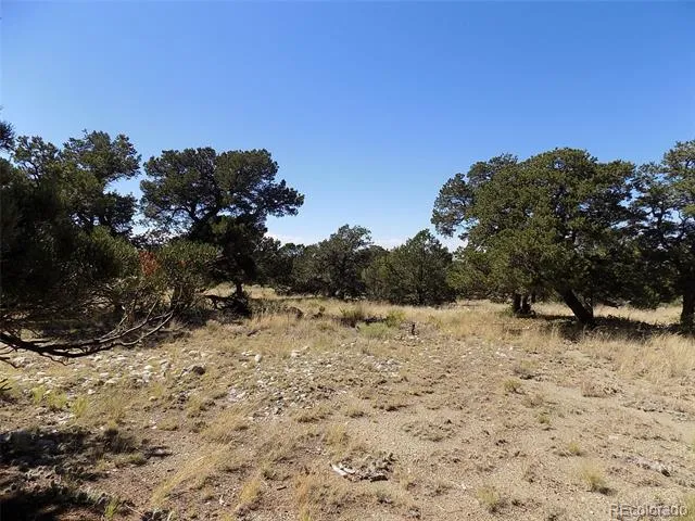 Mill Run Road Mosca, CO 81146