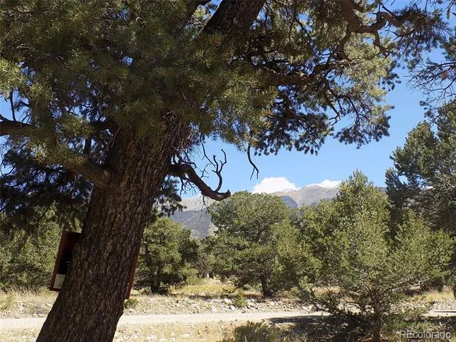 Mill Run Road Mosca, CO 81146
