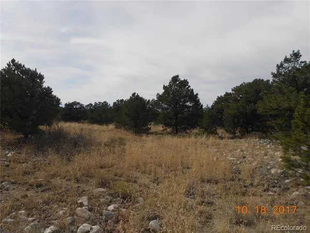 Mill Run Road Mosca, CO 81146