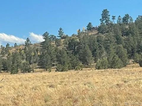 Black Beaver Trail