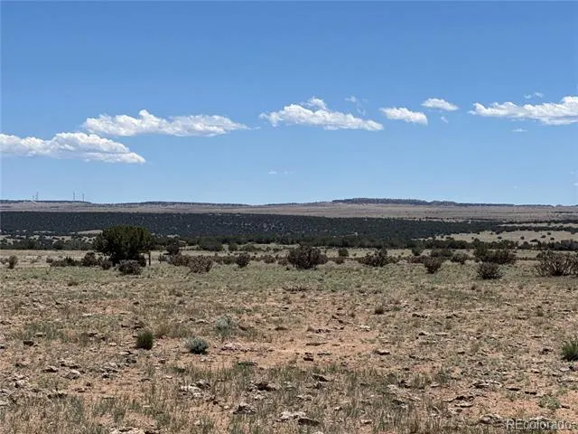 169 Tyrone Hills Walsenburg, CO 81089