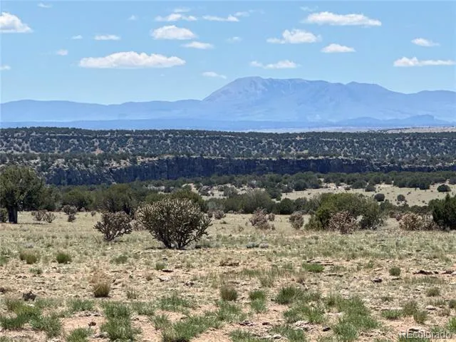169 Tyrone Hills Walsenburg, CO 81089