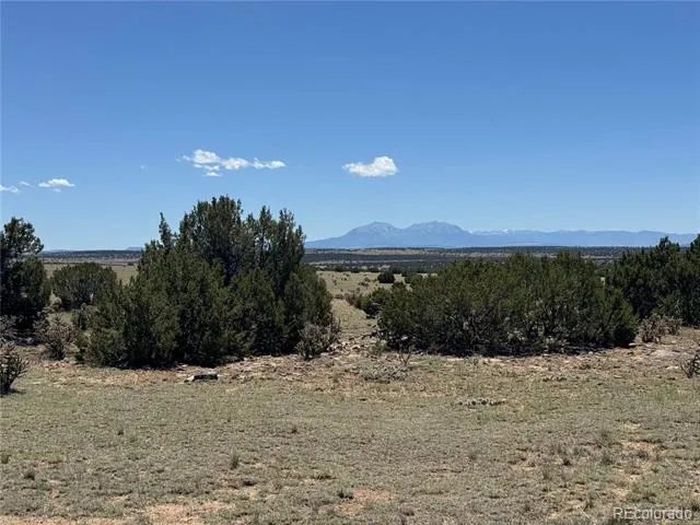 169 Tyrone Hills Walsenburg, CO 81089